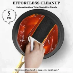 Non Stick Frying Pan – 10 Inch Cast Iron Skillet With Stay-Gold Stainless Steel Handle, Scratch-resistant And Anti-frictional , Induction Compatible. -Cookware Store GUEST 6ab2dcdd 6f4b 47ce b64b 5edeb100bbd6