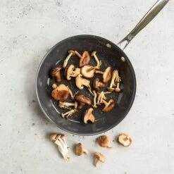 Nordic Ware Basalt Nonstick Skillet Pan -Cookware Store GUEST cb0e1dc5 c862 4426 ae8a f44291b4a9a9